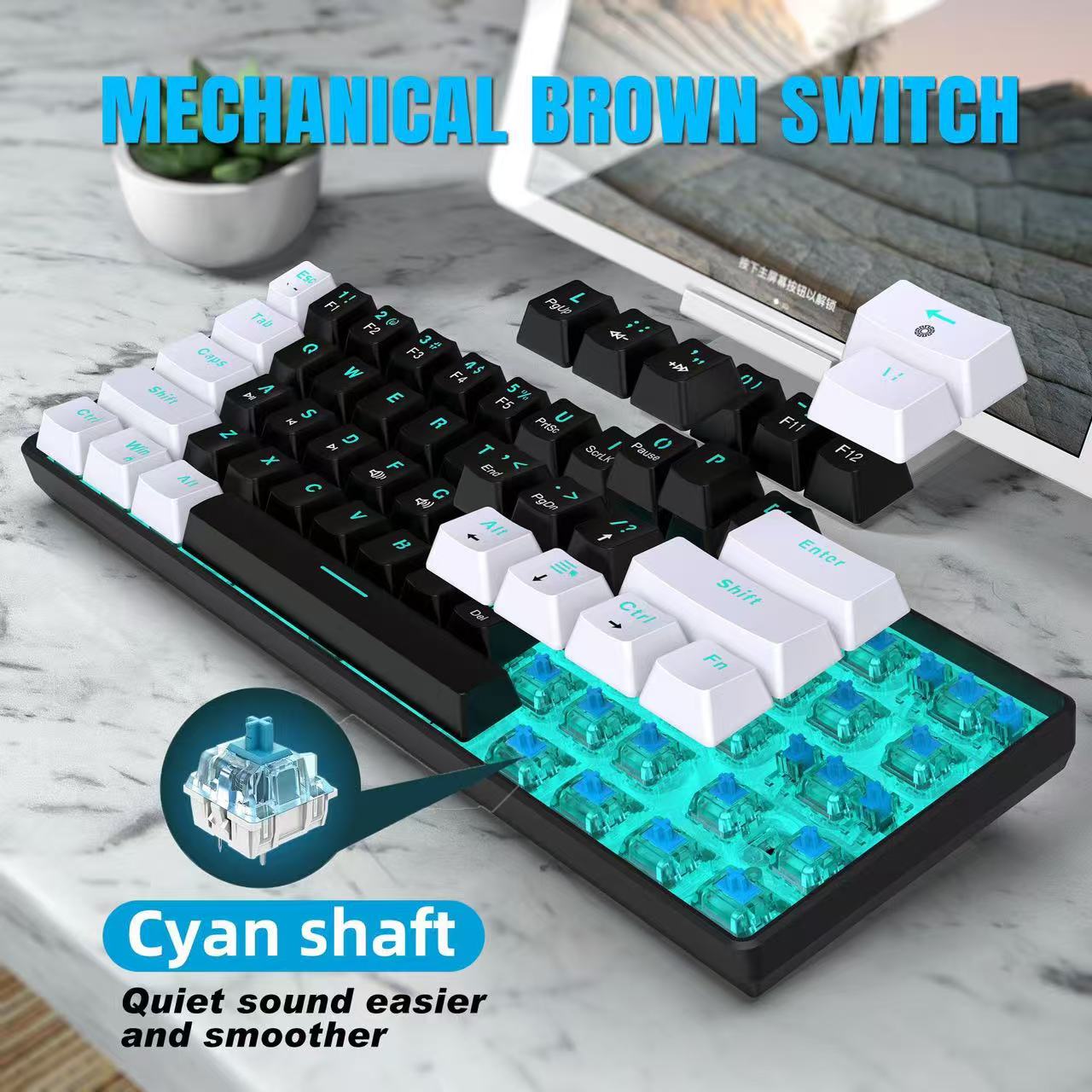 60% Mechanical Keyboard, Gamin - đánh giá và giá Keyboard Gaming Blue Switch