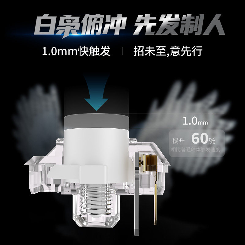 Kailh Choc White Owl Switch Mi - đánh giá và giá Gaming Keyboard Mini